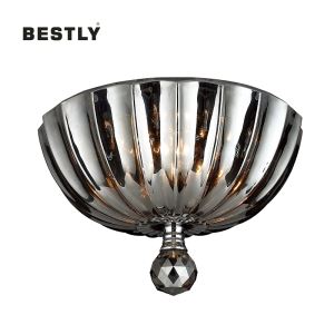 L'achat de la lampe murale